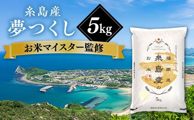 【こだわり精米】【令和6年産】 糸島産 夢つくし 5kg 糸島市 / RCF 米 お米マイスター [AVM001] 米 白米 夢つくし ごはん 飯 ライス 自炊 5kg お米マイスター