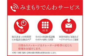 みまもりでんわサービス（携帯電話3か月） チケット 地域のお礼の品 カタログ 