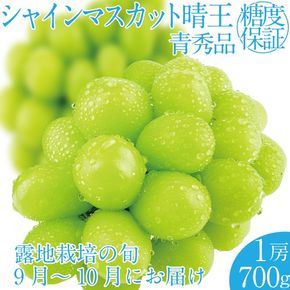 2026年 先行予約受付中 シャインマスカット晴王1房 約700g 岡山県産 種無し 皮ごと食べる みずみずしい 甘い フレッシュ 瀬戸内 晴れの国 おかやま 果物大国 ハレノフルーツ [№5735-2155]
