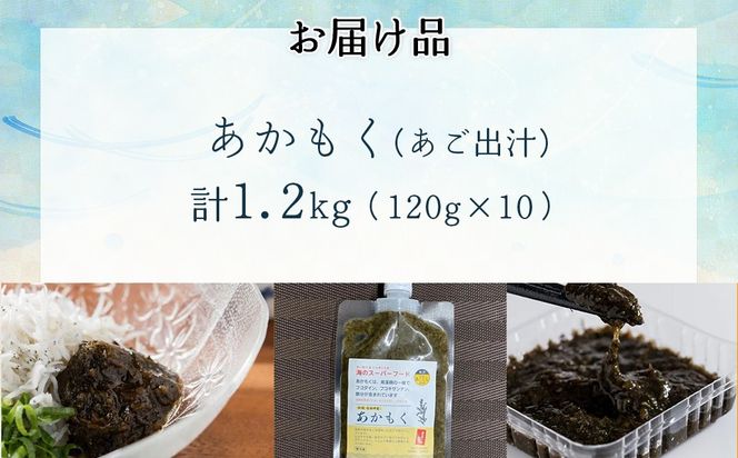 【話題の海藻】あかもく（あご出汁）120g×10パックセット IKTB034