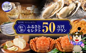 厚岸町のプロがお勧めの返礼品を選びます 厚岸町 コンシェルジュ 寄り添い ふるさと セレクト 50万 コース 【厚岸観光協会】[ 定期便 ギフト 贈答 おまかせ おすすめ 牡蠣 ウイスキー 海鮮 詰め合わせ ]