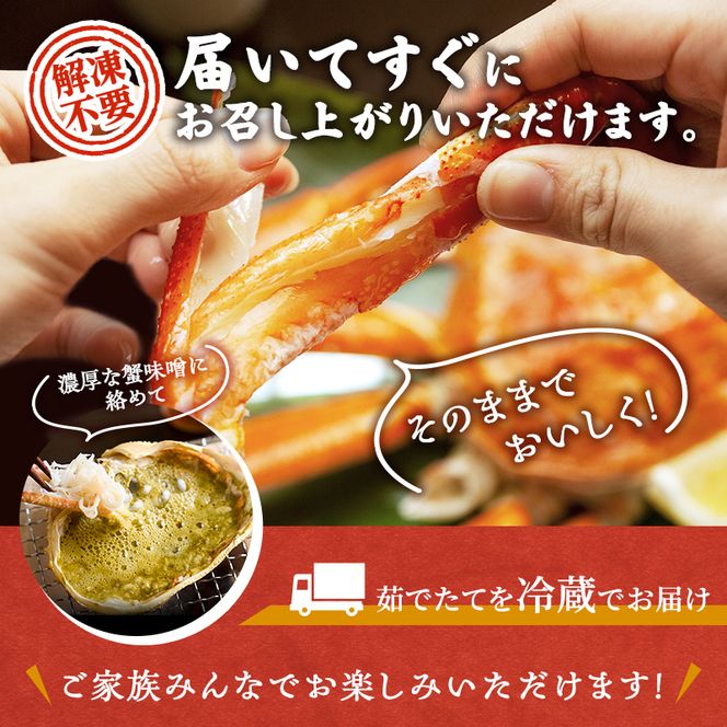 期間限定 茹で 越前ガニ 約800g以上 1杯 配送 食通もうなる本場の味をぜひ、ご堪能ください 越前かに 蟹 カニ ズワイガニ 海鮮 福井県 若狭町