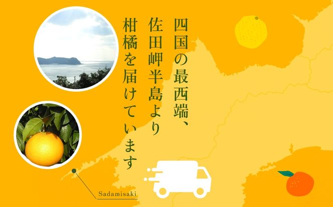 【先行予約】清見タンゴールジュース （720ml×3本）※離島への配送不可（2027年6月上旬より順次発送予定） IKTBD001