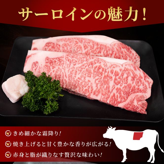 常陸牛サーロイン(ステーキ用)500g (250g×2枚)|黒毛和牛 国産和牛 冷凍 お取り寄せ おかず ギフト 牛肉 人気 茨城県 取手市（AV005）