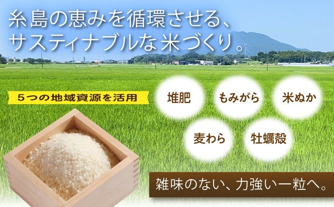 歓喜の風 白米 5kg 糸島市産 糸島市 / 糸島の恵み コメ こめ ご飯[AGR003]