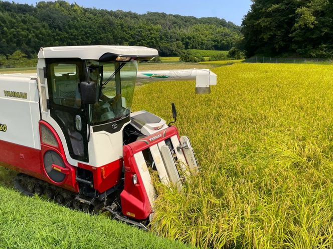 【令和6年度】鈴鹿山麓の銘水が育てた米、米どころ三重県産小山田地区「こしひかり」5kg-[G754]