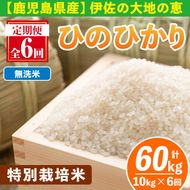 isa517-B 【定期便6回】 ＜無洗米＞令和7年産 鹿児島県伊佐産 特別栽培ひのひかり(計60kg・10kg×6ヵ月) 国産 白米 精米 無洗米 伊佐米 お米 米 生産者 ひのひかり 定期便 【Farm-K】