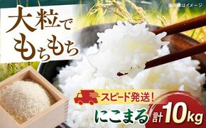 【令和7年産】【スピード発送】にこまる 玄米品質1等米 白米 10kg 糸島市産 糸島市 / 糸島の恵み コメ こめ ご飯[AGR002]