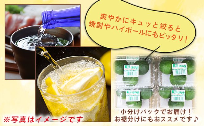 柚子 ＜2026年7月以降順次配送＞柚子 花柚子 虎弥太郎 はなゆ青玉 ８パック hy-0001