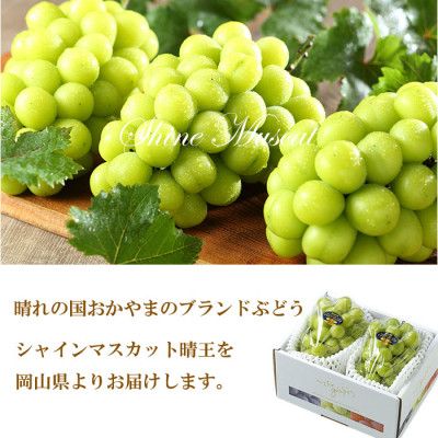 【2026年7月上旬より発送】岡山県産 シャインマスカット 晴王 500g×2房 ぶどう 葡萄 ブドウ フルーツ 果物