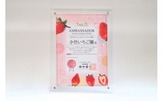 【先行予約】いちご とちあいか・スカイベリーセット 270g×2パック（540g）｜いちご イチゴ 苺 先行予約 栃木県 果物 くだもの フルーツ とちあいか スカイベリー 新鮮 贈答 ギフト 高級 食べ比べ ※2027年1月～発送
