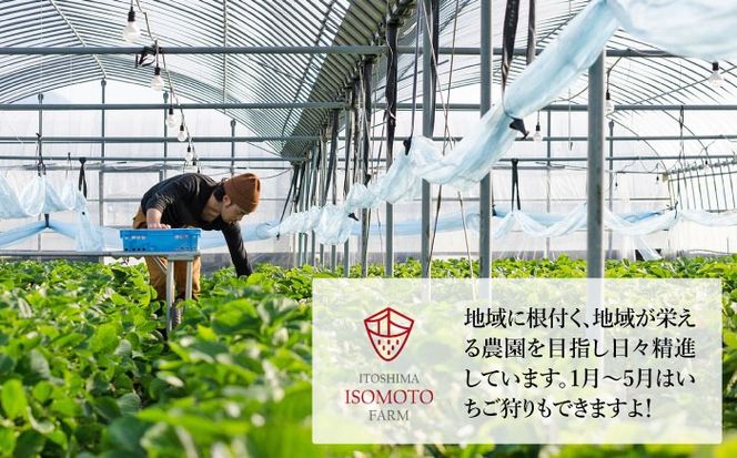 あまおう ミルク アイス キャンディ 10本 糸島市 / 磯本農園 TANNAL[ATB035]