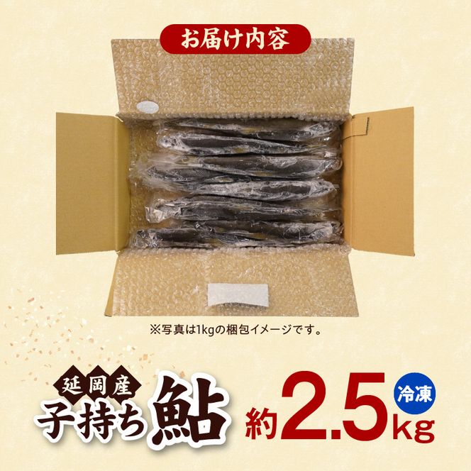 【冷凍】子持ち鮎約2.5kg N070-YC425-2