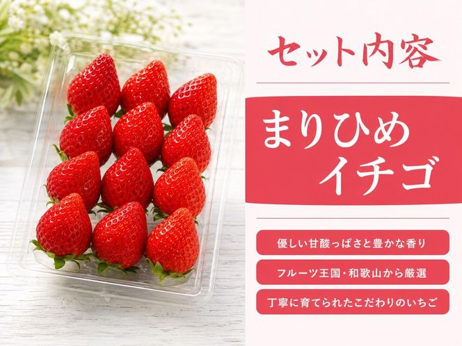 紀州和歌山ブランドいちご「まりひめ」約280g×2P