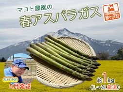 アスパラガス 先行予約 春アスパラガス 約1kg L～2L 約25本前後 厳選 マコト農園 アスパラ グリーンアスパラ 野菜 春 旬 旬の野菜 朝どれ 産地直送 2026年 2026 先行 予約 青森 冷蔵 冷蔵配送 5月6月発送