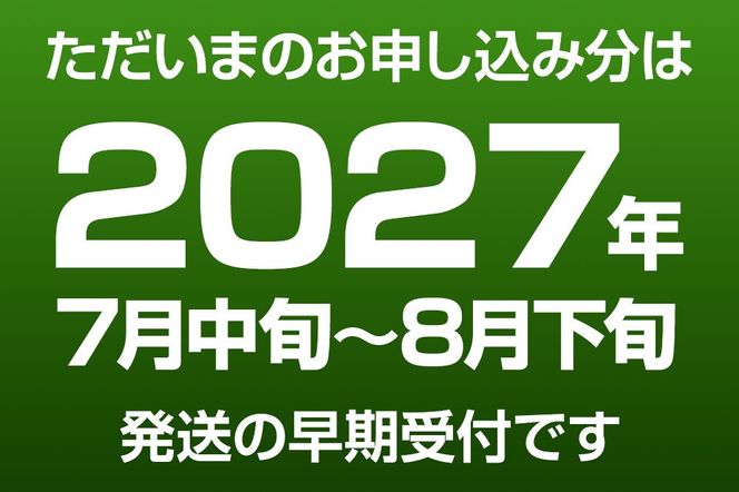 ババヘラ・バラ盛り(3個)メロンバラ盛り(3個)セット【進藤冷菓】 ご当地アイス [ババヘラ アイス メロン バラ盛り]|23_sdr-050601