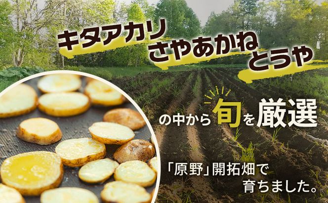 北海道十勝 ミナイカシのワイルドジャガイモおまかせ2種 計3kg 【栽培期間中農薬不使用】自然栽培 じゃがいも【 芋 いも ジャガイモ 野菜 食品 人気 産直 産地直送 北海道 幕別 】