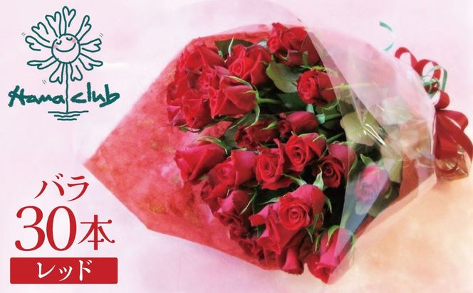 【ラッピング付】生花 レッド バラの花束 30本 日付指定可能 赤 薔薇 ローズ ギフト プレゼント ラッピング インテリア お花 フラワー  H193-032
