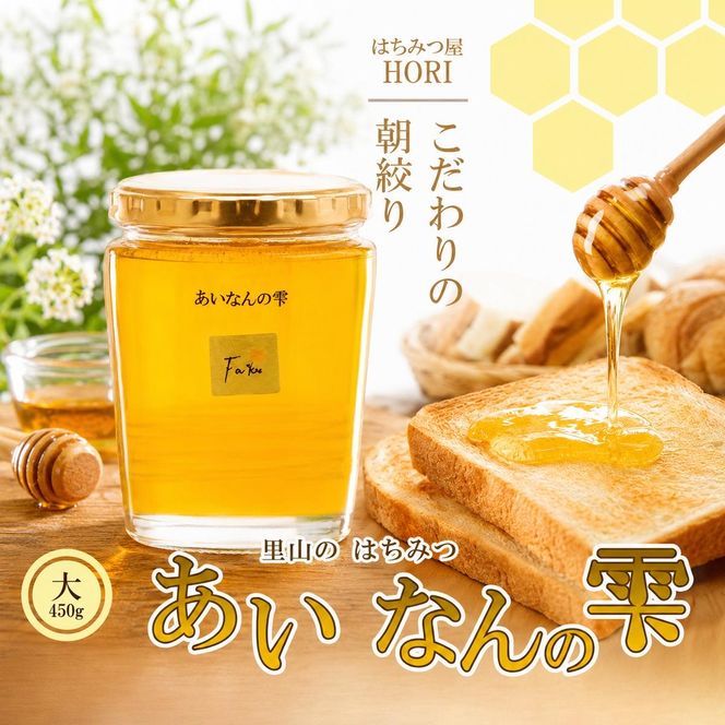 里山のはちみつ ～あいなんの雫～ 450g なくなり次第終了