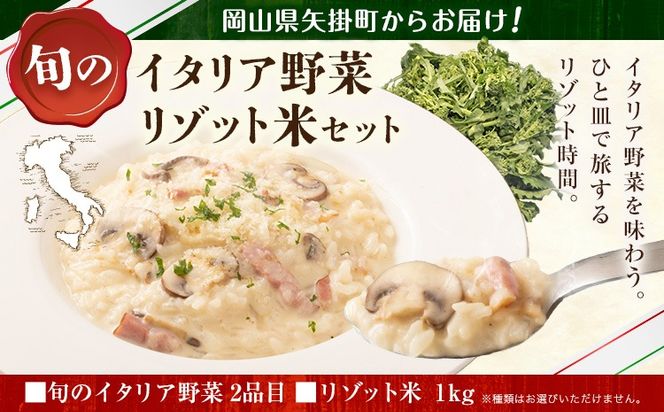 野菜 米 旬の イタリア野菜 2品目 リゾット米 1kg セット 《1月上旬-3月末頃出荷》JA晴れの国 矢掛アグリセンター 野菜 ねぎ ネギ 国産 イタリア リーキ プレコーチェ カタローニャ 西洋 リゾット 送料無料---osy_cjyaibr_af13_26_10000_s---