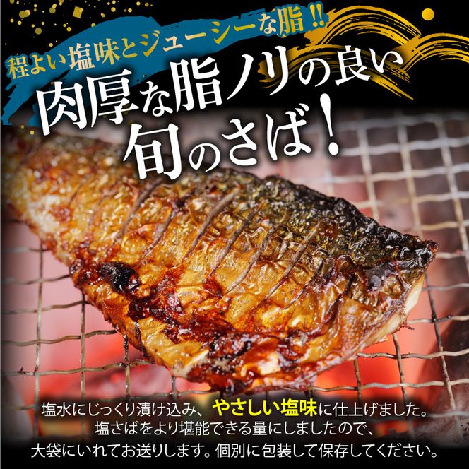 魚鶴自慢の人気のお魚全12回定期便_G60-T88