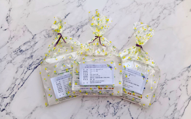 蒜山高原のブルーベリーの葉を使用した入浴グッズ 5個入×３袋 / ブルーベリー 葉 入浴グッズ 入浴 お風呂 入浴剤 バス 蒜山高原 岡山県 真庭市 蒜山 無香料 無添加 【kbkb006-01】