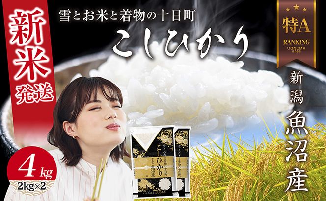 【令和8年産 新米】 新潟県 魚沼産 コシヒカリ お米 4kg  (2kg×2袋) 精米済み お米 こめ 白米  こしひかり 送料無料 魚沼 十日町