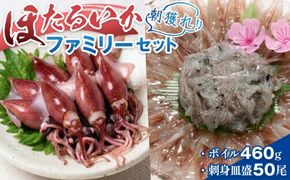 【先行予約】ほたるいか ボイル＆刺身皿盛りファミリーセット 【27年3月中旬以降順次発送】【生 ほたるいか ホタルイカ 小分け 便利 冷凍 大人気 おすすめ 国産 ホタルイカ 水揚げ いか イカ カネツル砂子商店 冷蔵 朝どれ おつまみ 旬 富山】