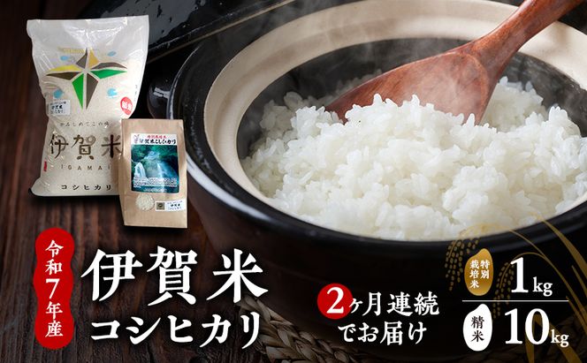 【精米】令和7年産　伊賀米コシヒカリ　10kg+特別米1kg（２ヶ月連続）　お米 米 白米 こしひかり ごはん 三重県 名張市