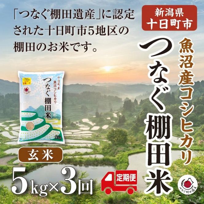 【定期便／全3回】玄米5kg  令和7年産新潟県十日町市魚沼産コシヒカリ「つなぐ棚田米」 米 こしひかり 玄米 十日町市