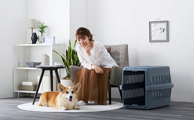 エアトラベルキャリー ATC-670 ダークグレー アイリスオーヤマ 雑貨 日用品 移動 旅行 便利 サイズ 超小型犬 大型犬 ペットハウス 開閉可能 取り外し フード 水銀イオン 配合 雑菌 増殖 