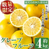 ＜先行予約受付中！2027年2月以降順次発送予定＞数量限定！グレープフルーツ(約4kg)国産 果実 果物 フルーツ 柑橘 デザート 期間限定【桐野柑橘株式会社】akn070-04