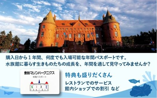 登別マリンパークニクス 入場券年間パスポート 大人・子ども 各1名 【 チケット 北海道 観光 旅行 体験 パーク 入場券 入園券 割引 北海道 水族館 動物園 イルカ アシカ ペンギン パレード】mr-0895_96