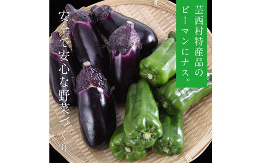 【CF-R7hbk】KPP030　【先行予約】朝どれ！ 野菜詰合せ／芸西村で採れた新鮮な野菜6～8種類をお届けします。特産品 ピーマン ナス こだわりの栽培方法 環境に優しい 安全で安心な野菜づくり  支援品