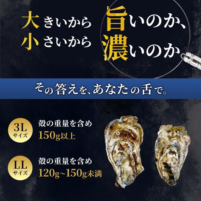 厚岸産 ブランド 殻付カキ マルえもん 生食用 サイズ食べ比べ 12個 (3L・LL各6個)[ 魚貝類 生牡蠣 かき 牡蠣 カキ 生ガキ 食べ比べ ]