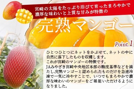 ＜JAみやざき宮崎中央地区本部管内産 宮崎県産 冷凍マンゴー 約270g＞翌月末迄に順次出荷【マンゴー 南国 フルーツ 高級 贅沢 ご褒美 デザート 冷凍保存 スイーツ お菓子作り ゼリー アイス シャーベット 】【b0692_ja】