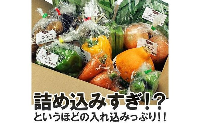 岩沼 みんなの家の 「 みんなの野菜 ! 」 朝どれ 野菜 8～10個 セット 詰め合わせ