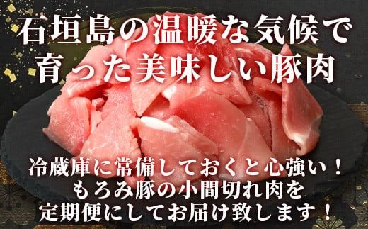 【定期便 3回配送】【石垣島ブランド豚】もろみ豚 豚こま切れ 250g×15袋【合計3.75kg】【もろみで育てる自慢の豚肉】簡単 便利 小分け 小間切れ 細切れ 3ヶ月 3か月 3ヵ月 AH-14