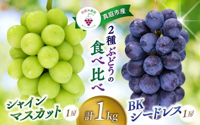 【2026年先行予約】 岡山 花笑み農園『シャインマスカット&BKシードレス』1kg(2房) 2026年9月下旬～ 受付順に発送予定 【hana047-02】