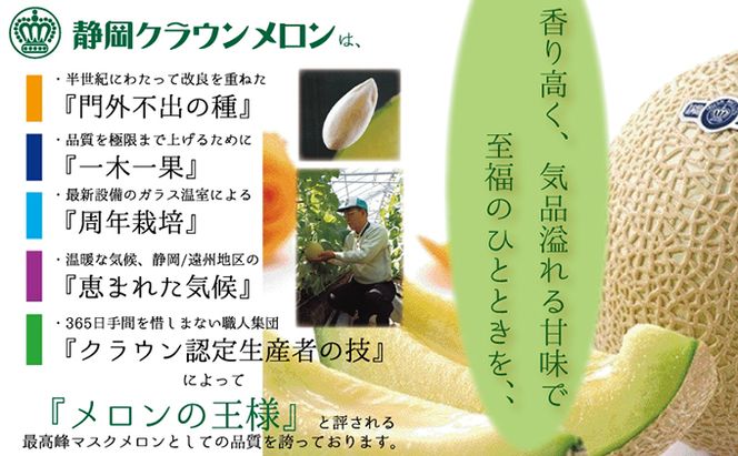 クラウンメロン（白等級）中玉　2玉入 果物類 メロン青肉 