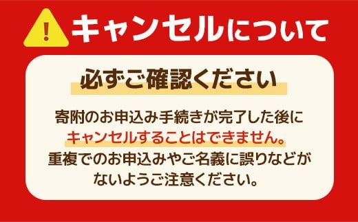 博多華味鳥 黒もつ鍋セット（３～４人前）2023年10月以降順次発送　UMI-062