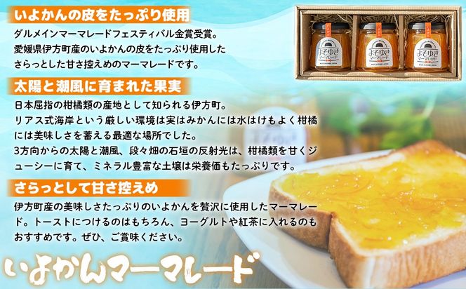 いよかんマーマレード「よそゆき」3点セット【ダルメインマーマレードフェスティバル金賞受賞】※離島への配送不可 IKTI015