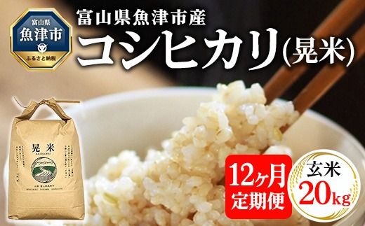 【12ヶ月定期便】【令和6年度米】「魚津のコシヒカリ（晃米）」20kg（玄米） ｜ 環境配慮 MK農産 お米 ブランド米 銘柄米 玄米 ご飯 おにぎり 産地直送 甘み 旨味 香り ※2024年9月中旬頃より順次発送 ※北海道・沖縄・離島への配送不可