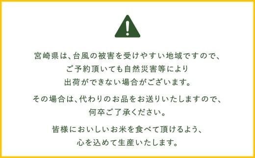 ＜【2025年4月発送】令和6年産 宮崎県産夏の笑み 無洗米真空パック2kg×5袋＞【c535_ku_x11-apr】