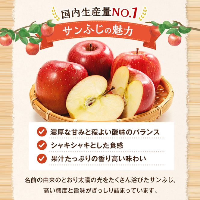 【2026年11月下旬～発送予定】 先行予約 訳あり りんご サンふじ 小玉 約10kg フルーツ 果物 林檎 甘い 訳あり