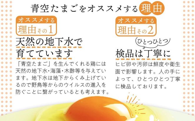 有田の青空たまご ササキのたまご Mサイズ 60個入