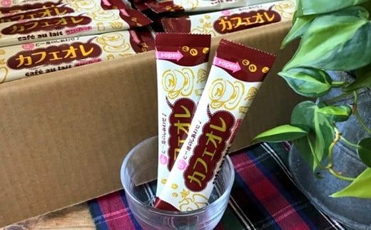 おいしいカフェオレ 100本入り