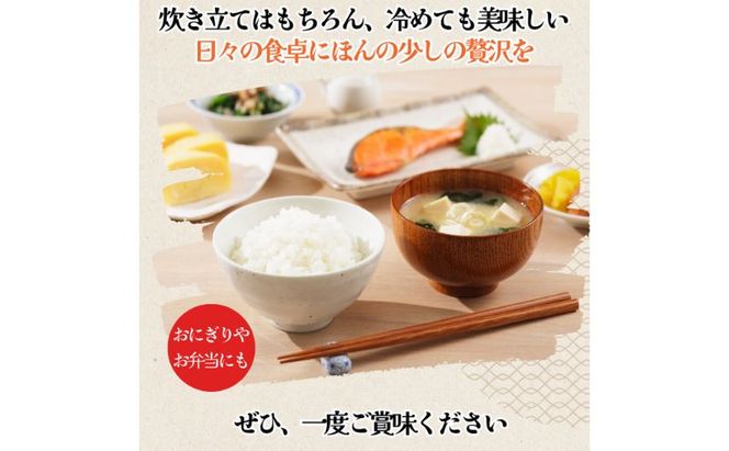 【令和7年度産/白米】ハツシモ 5kg 岐阜県海津市産