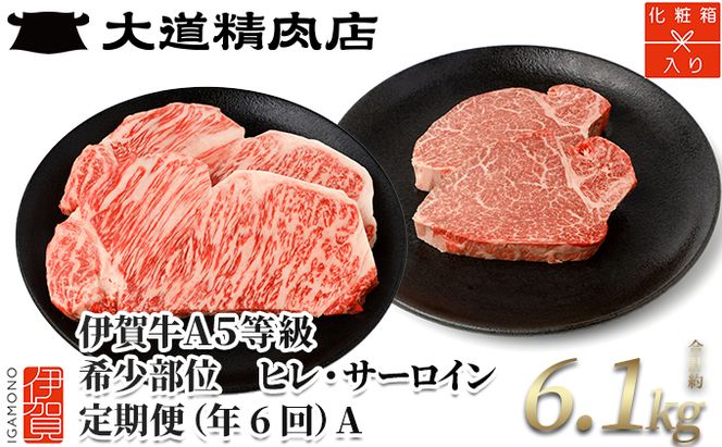 【年6回奇数月発送】伊賀牛 A5ヒレ・サーロイン 定期便A 総合計約6.1kg【dido-tkb0006】
