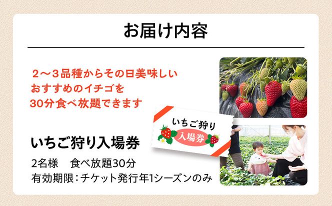 いちご狩り　入場券　2名様　食べ放題30分 142069_CP010